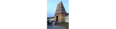 திட்டக்குடி